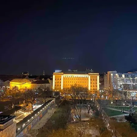 In The Center Of The “jungle” With Panorama *